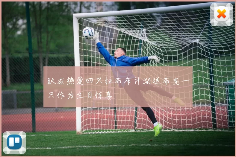 狄龙热爱四只拉布布计划送布克一只作为生日惊喜